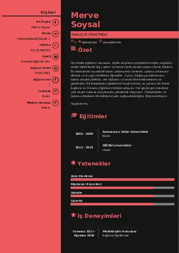 cv indir